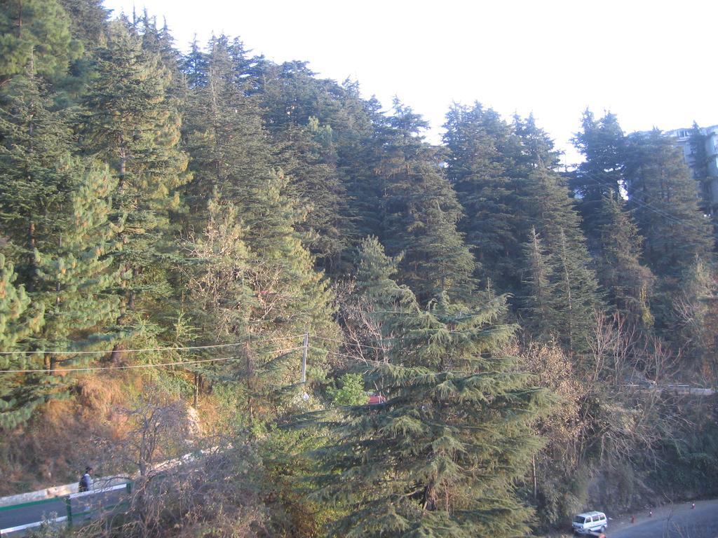 Shimla View Home Exterior photo